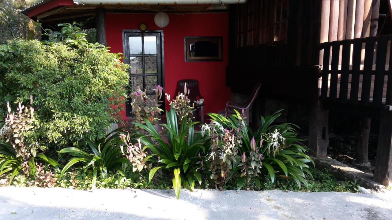 Liberta Homestay Тук-Тук Екстер'єр фото